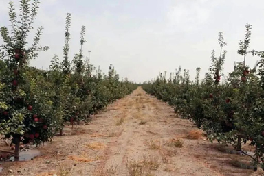 1650590622464448.jpg 22.jpg