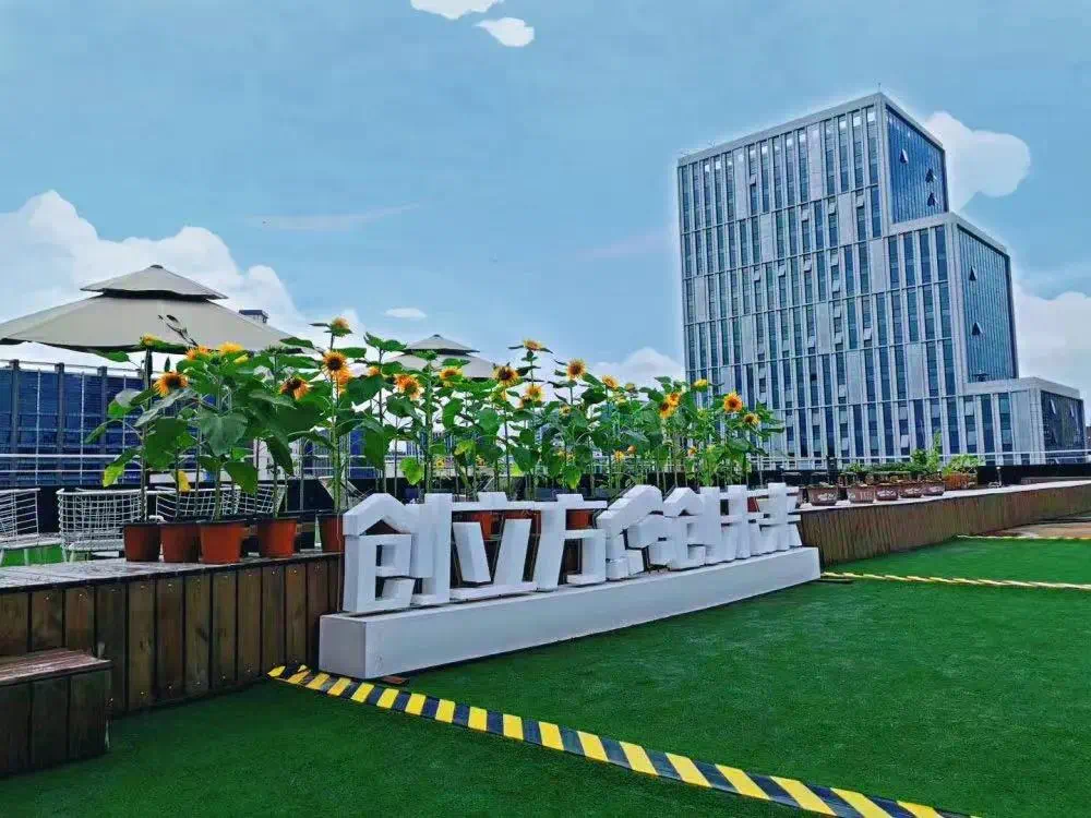 1675075077725080.png WechatIMG1893.png